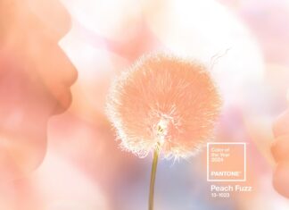 Barva roku 2024: Peach Fuzz